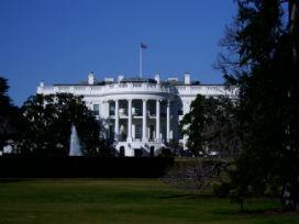 White House by J. Nichols 